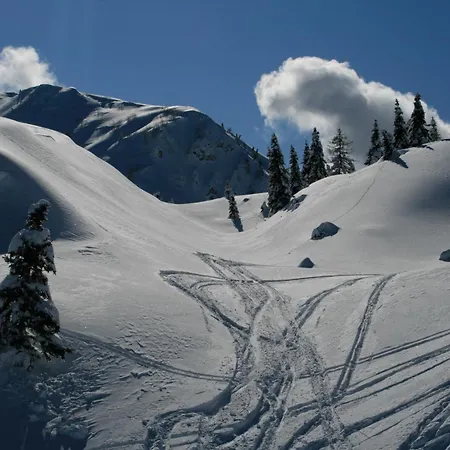 Zoncolan *